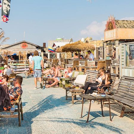 Chalet Zandvoort Zewnętrze zdjęcie